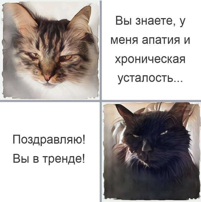   ! , , , 