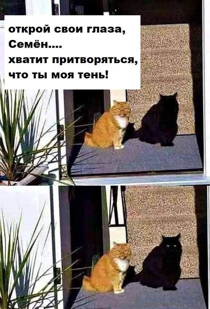    ... , ,   , , , ,  