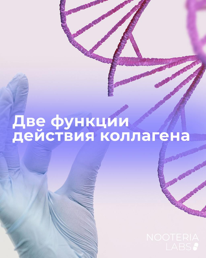   :         , , , , ,  , ,  , , ,   , , 