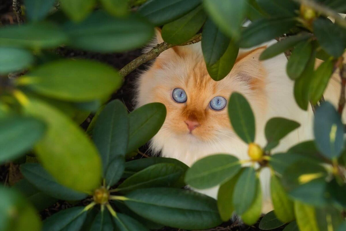 Нести добро