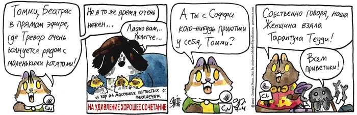 Котейкины Новости от 04.07.2025