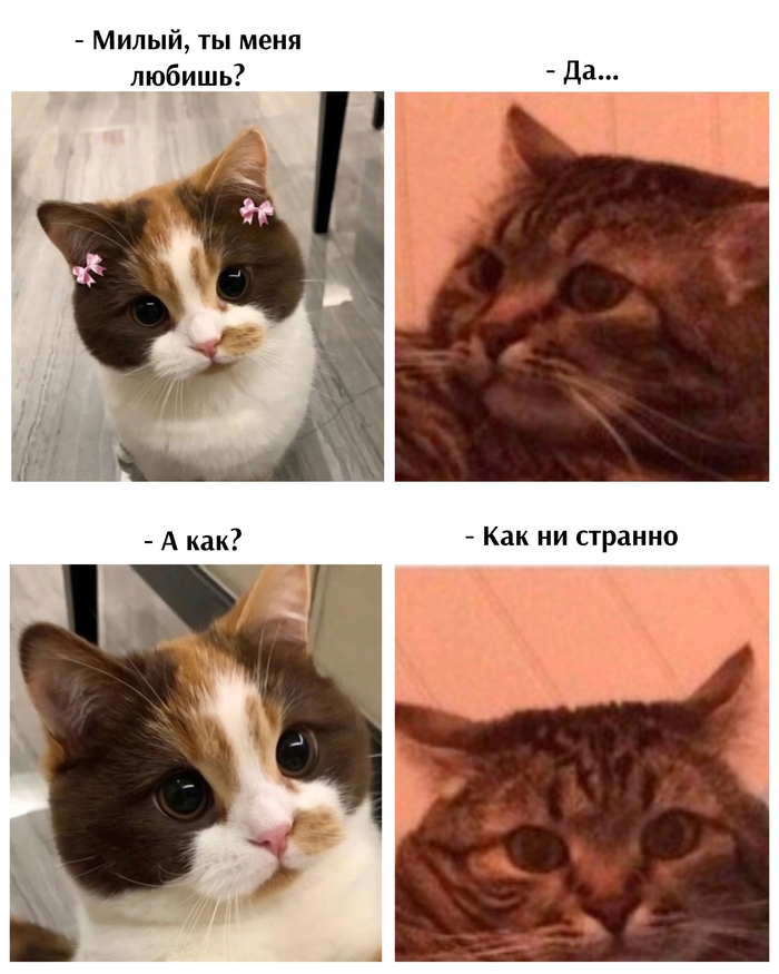    ,  , , , , , ,  (), ,  ,  