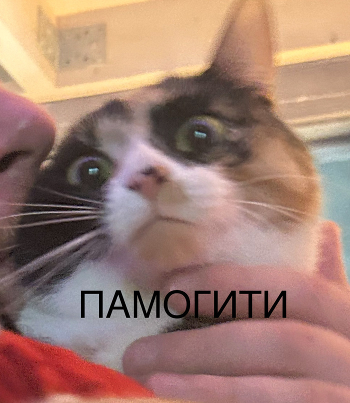   ,  , ,   