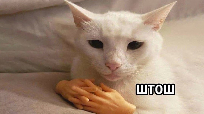   ,  ,   ,  ,  