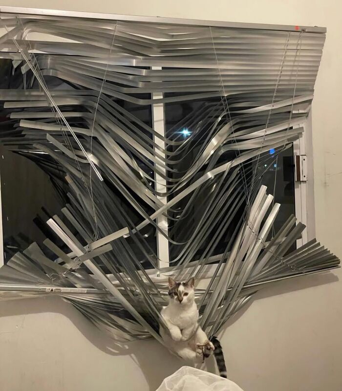    , , , 