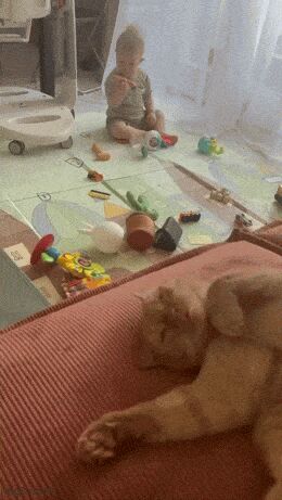   , , , 