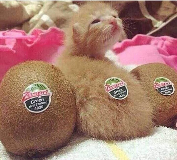  - ... , , , , , , 