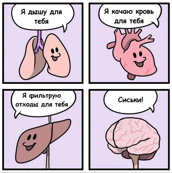 ! ,   , , , , , , Telegram ()