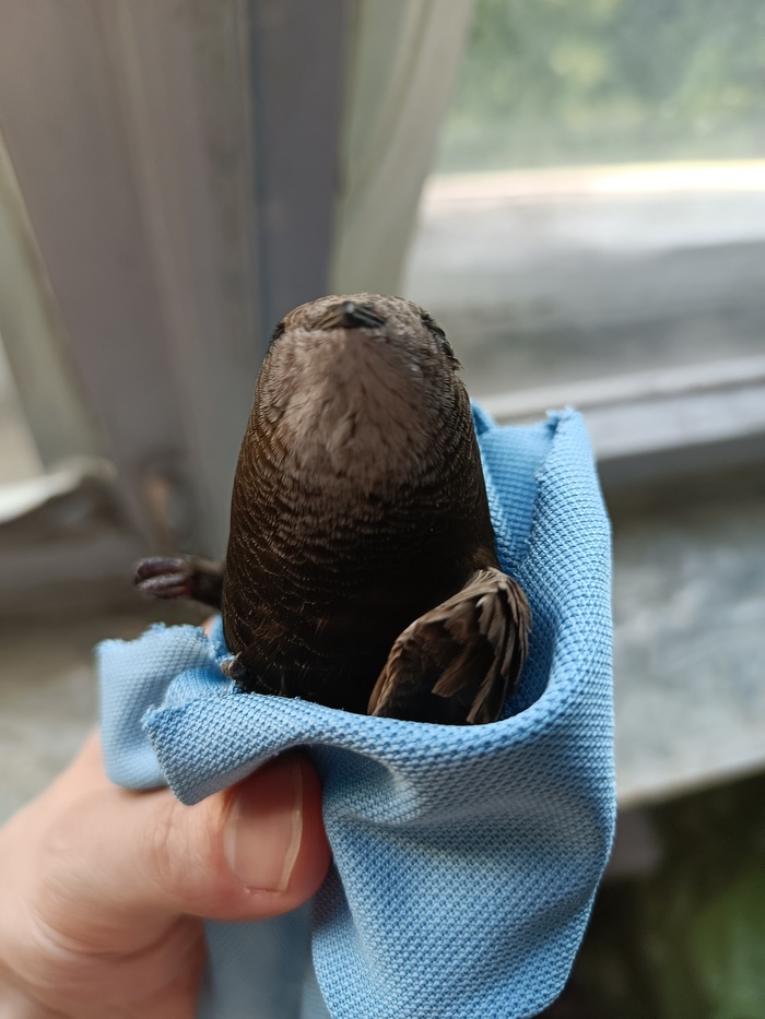      , , , ,  ,  , ,   , 
