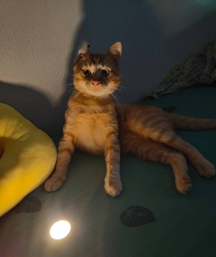     ,      .       ,  ,  , , -, , ,  ,  