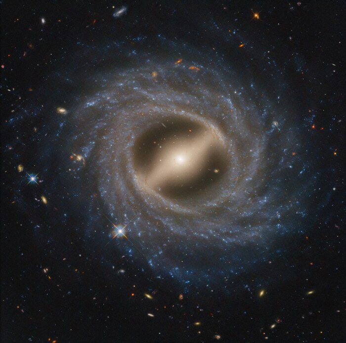  NGC 5335       , , , ,  , Telegram ()