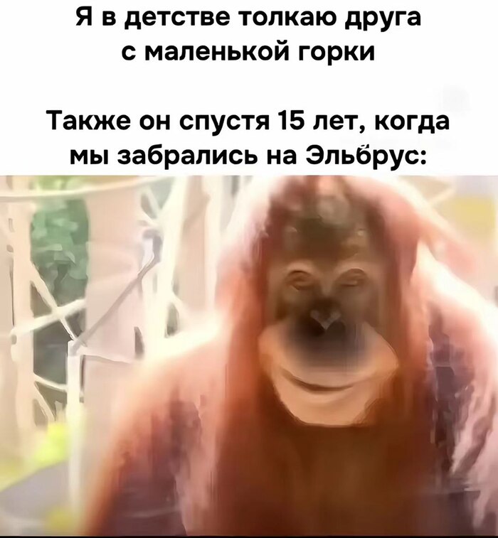   , , , , ,   , 