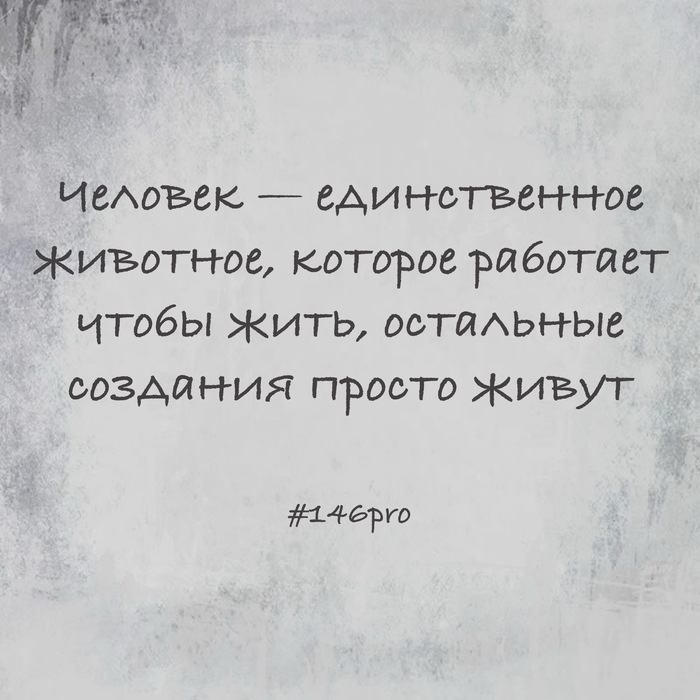  ,   , 