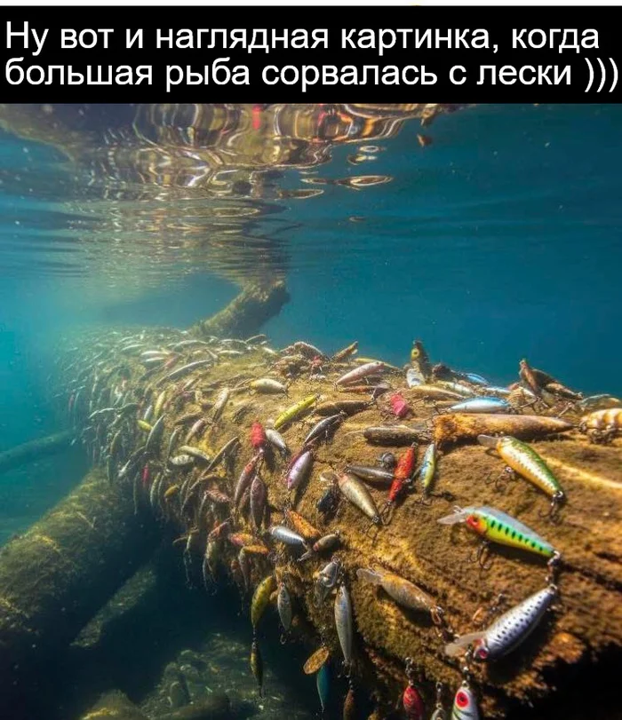 an6vklui.webp