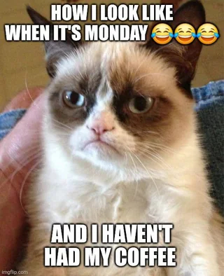 Memes in English Telegram (),  ,  , ,   ,  , ,  