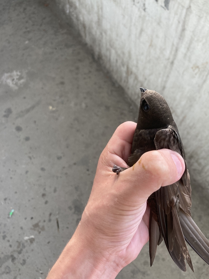  , , ,  , , ,   