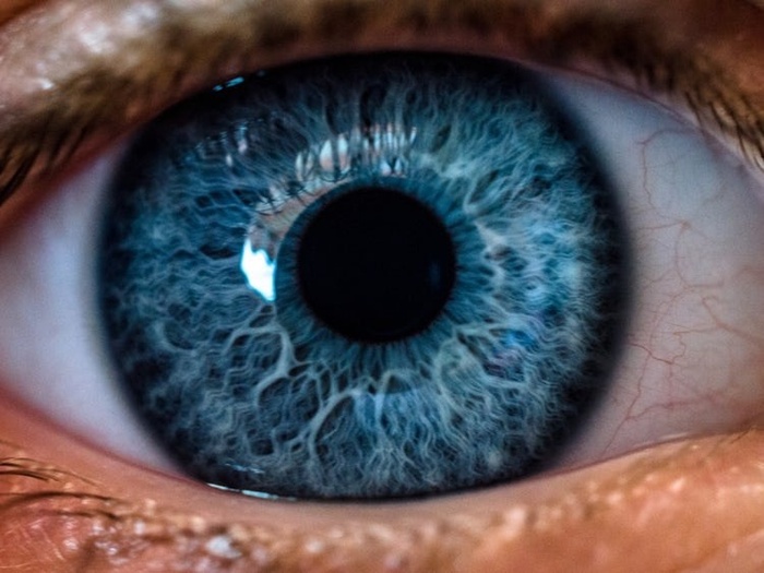 Ххх Зрение, Картина, Длиннопост