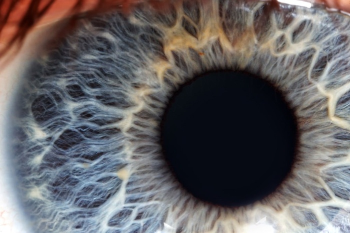 Ххх Зрение, Картина, Длиннопост