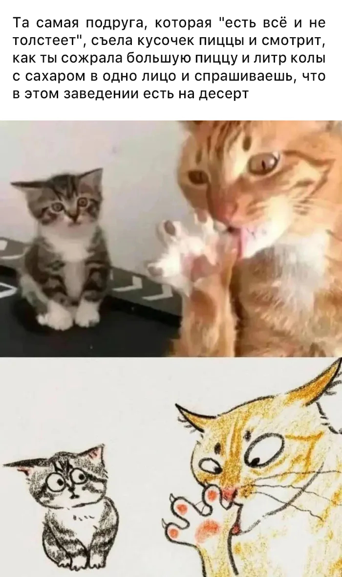    , , ,  ,   , 