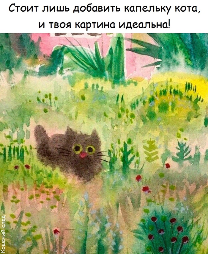    ,  (),   , 