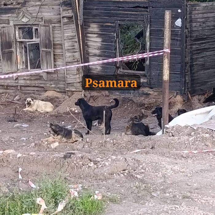    , ,  ,  , Telegram (), , 