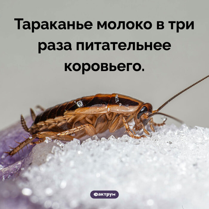 � ���� ���� ��������� �������� � �������� ������� �� ����� ��������!!!