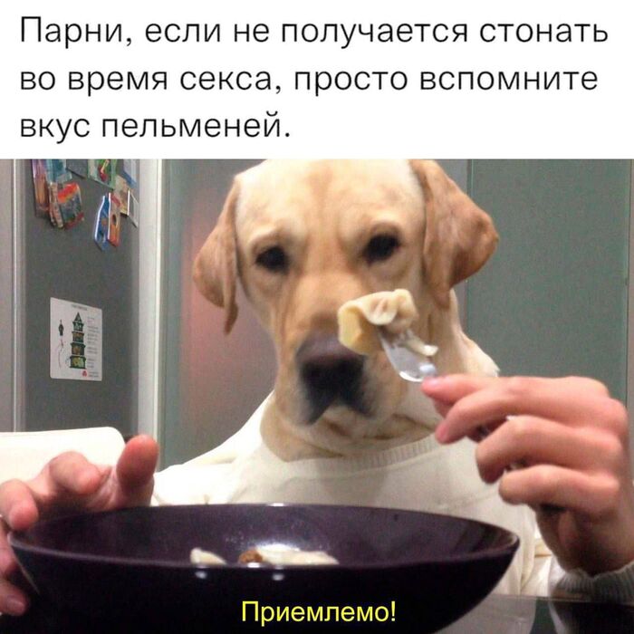      ? , ,  , , Telegram (),   