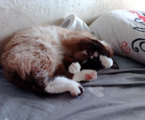 ��� ���� ����� 5 �����