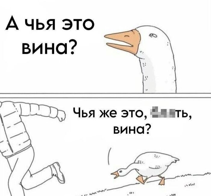       :      , , , , , ,   ,  , ,   , 