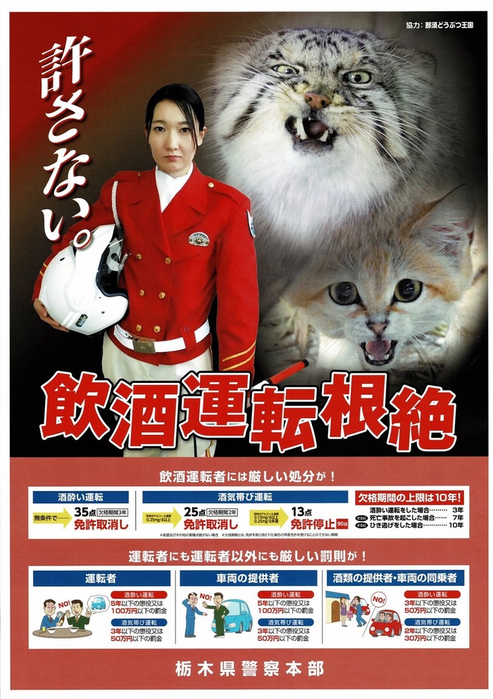 Тот самый плакат предупреждающий о строгом наказании за вождение в нетрезвом виде.