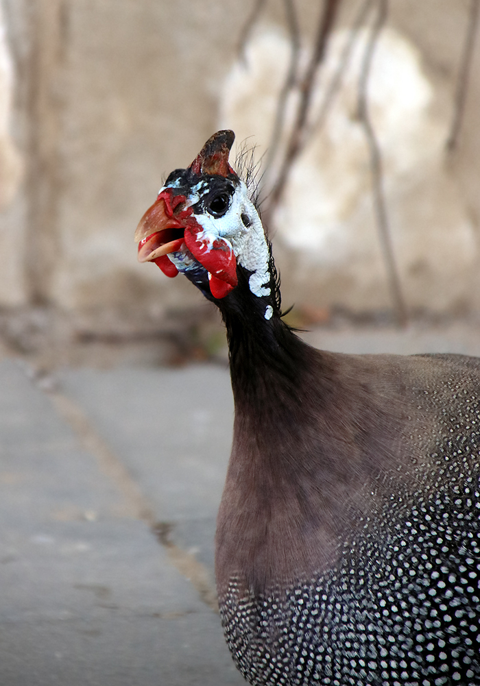 А вот тут явно ни одной мысли