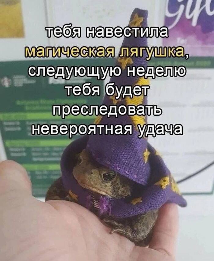,  It Is Wednesday My Dudes, , , , ,   , 