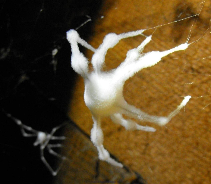 А что вы думали, грибы тоже хотят мастерить своих снеговичков!