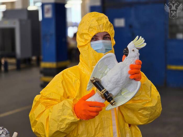 Хорошие новости