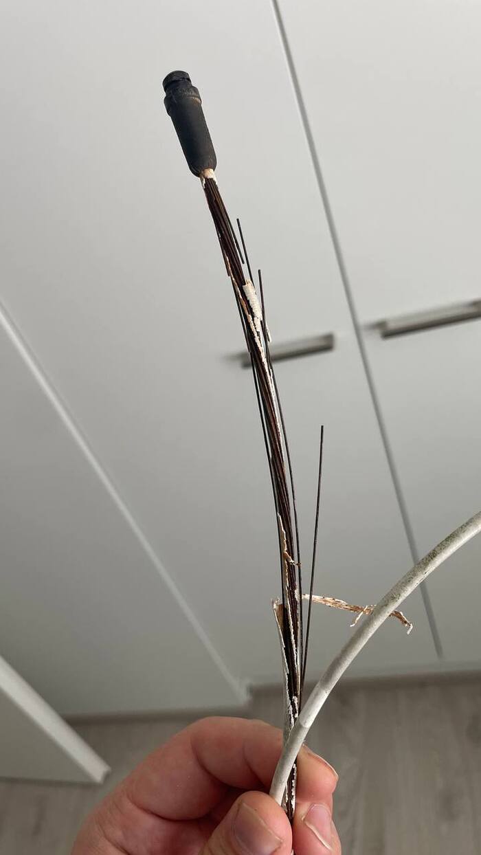   -  .         ,              ,    ,       . 