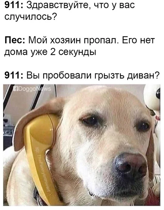 af6vk4vo.webp