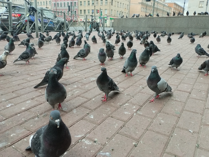      ? , ,   , , ,  , ,  