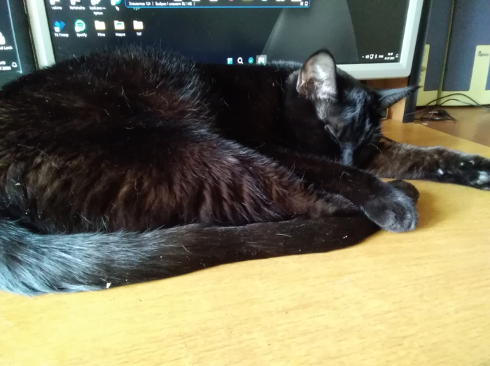    , Windows, , ,  ,  , 