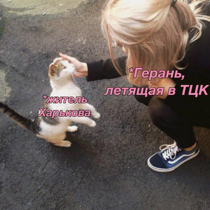  ,   , , , , ,  , Fake News,   