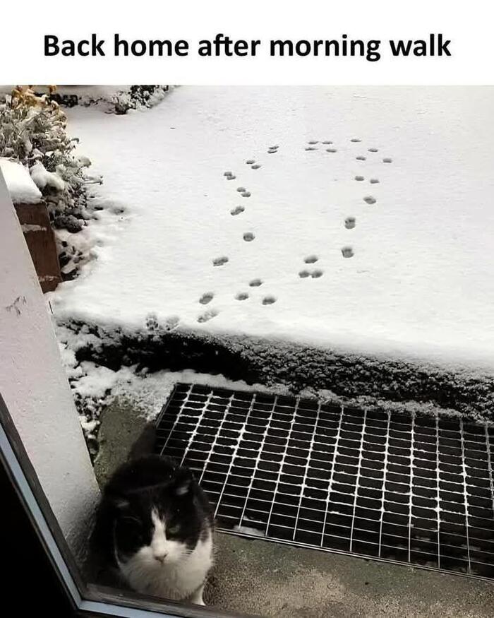      ,   , , , , 
