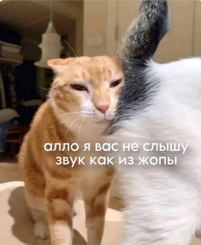  ! , ,   , 