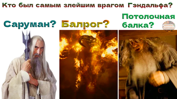     ,  , , , , , , ,   ,  ,  ()