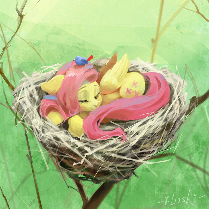  My Little Pony, Fluttershy