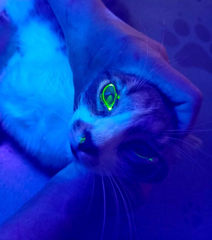   , , ,  