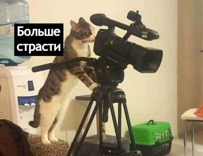    -  , , ,   