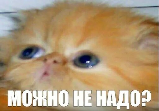 Ответ на пост «5 копеек про феминизм»