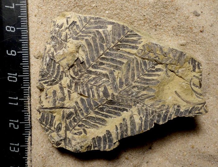         .&nbsp;  ,    . ,  . &nbsp;