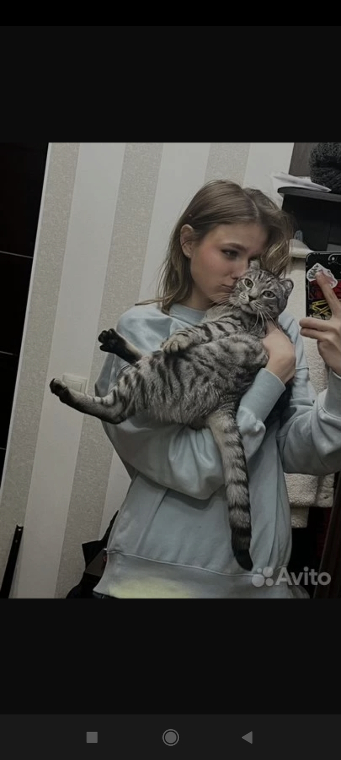     ... , ,   , ,  , , 