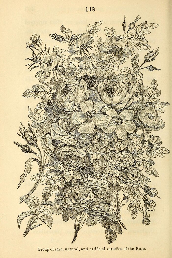   . &nbsp;   <!--noindex--><a href="https://pikabu.ru/story/khudozhnitsa_yenn_pratt_12975196?u=http%3A%2F%2Fsummerweeds.com&t=summerweeds.com&h=a4fc24740d8387736fab9827c850b1aaae75138e" title="http://summerweeds.com" target="_blank" rel="nofollow noopener">summerweeds.com</a><!--/noindex-->.