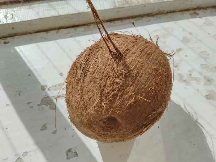    , , 